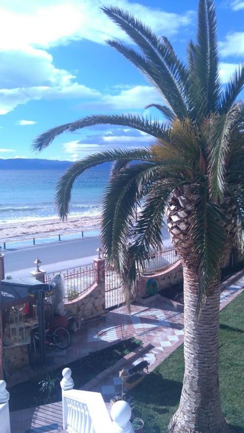 Palm Garden Orfanion