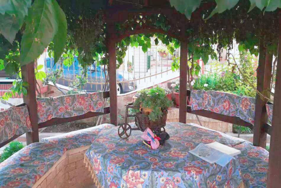 Palm Garden * Orfanion