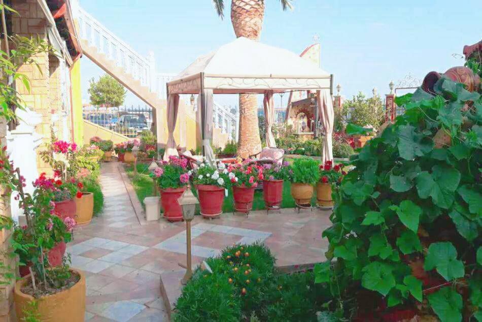 Palm Garden Apartment *